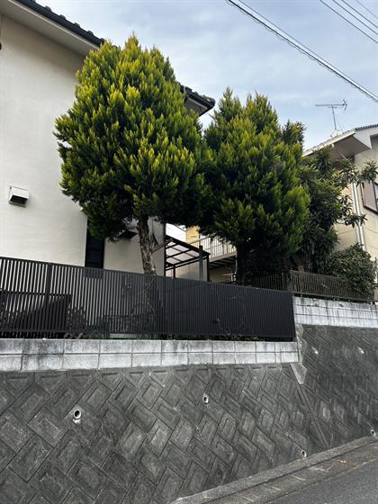 庭木の伐採・剪定（庄原市）