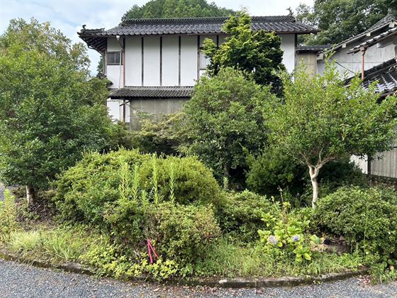 庭木の剪定（庄原市）