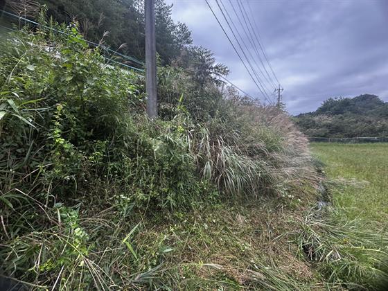 法面草刈り・集草（庄原市）